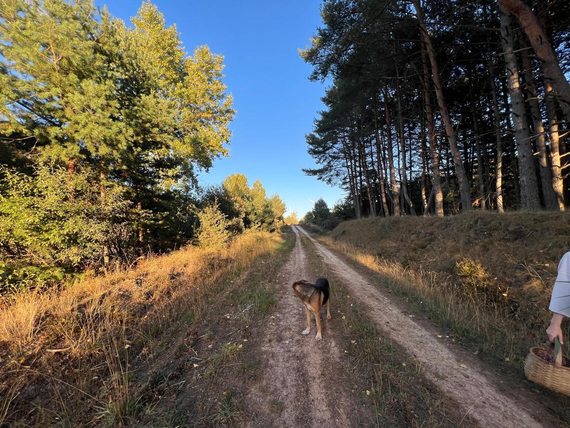 El Pecu Casa Rural Starfamiliar Bustillo Del Paramo Экстерьер фото